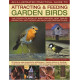 Illustrated Practical Guide to Attracting and Feeding Backyard Birds by ''Dr Jen Green''